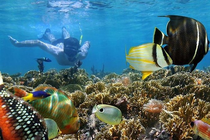 Best Snorkeling Spots in Zanzibar 