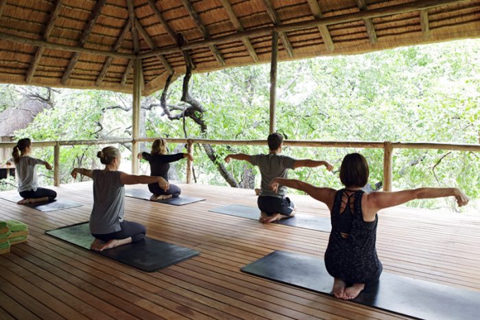 Health Benefits Of African Safaris