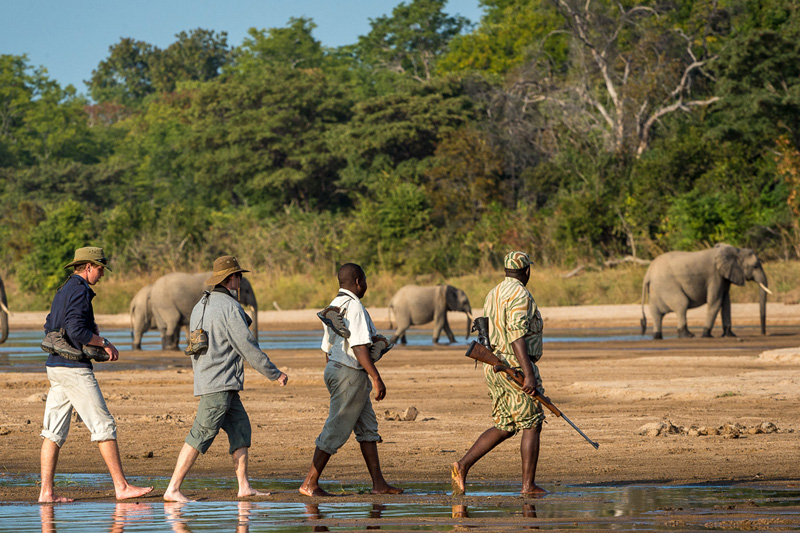 Explore Tarangire National Park 