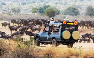 10 Days Kenya Wildlife safari