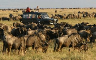 Best activities to do at Maasai Mara National Reserve