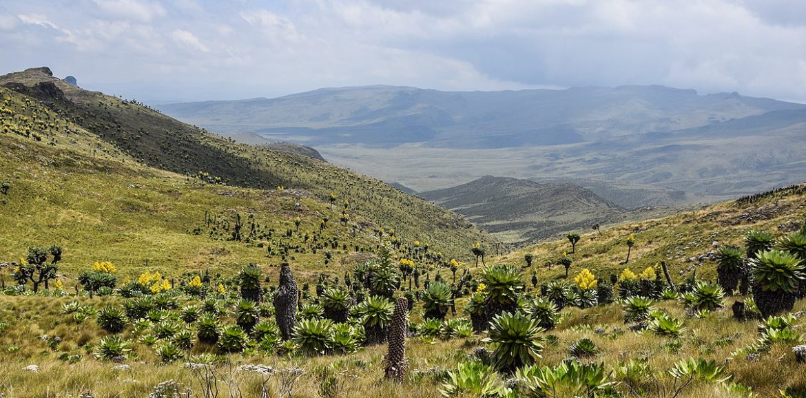 The Most Beautiful National parks in Kenya to visit on your Next Safari