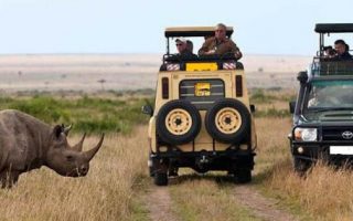How to Book a Safari / Tour in Tanzania