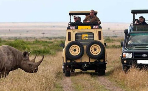 How to Book a Safari / Tour in Tanzania 