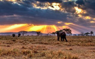Serengeti National Park Size