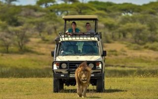 How to stay safe on your Tanzania Safaris Tours