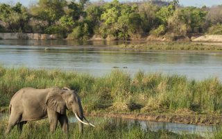 3 Days Selous Game Reserve