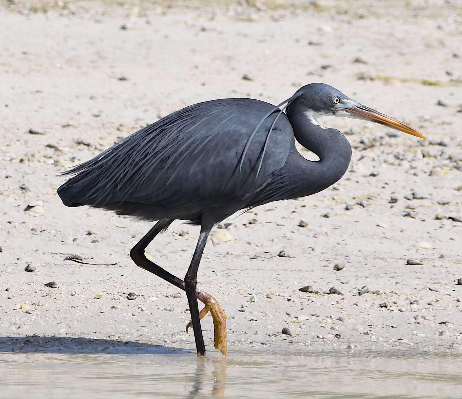 Mangroves National Park