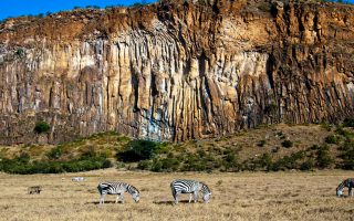 5 Day Kenya and Tanzania Safari