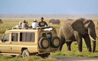 Tanzania safari to Serengeti