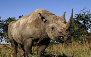 Top 8 reasons to visit Mkomazi National Park in 2025