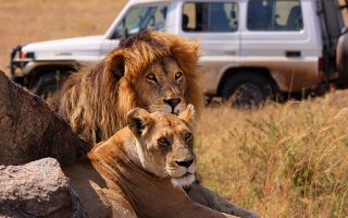 Tanzania safari to Serengeti