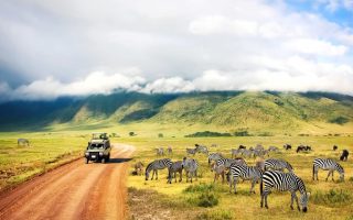 7 Days Best of Tanzania Wildlife Safari