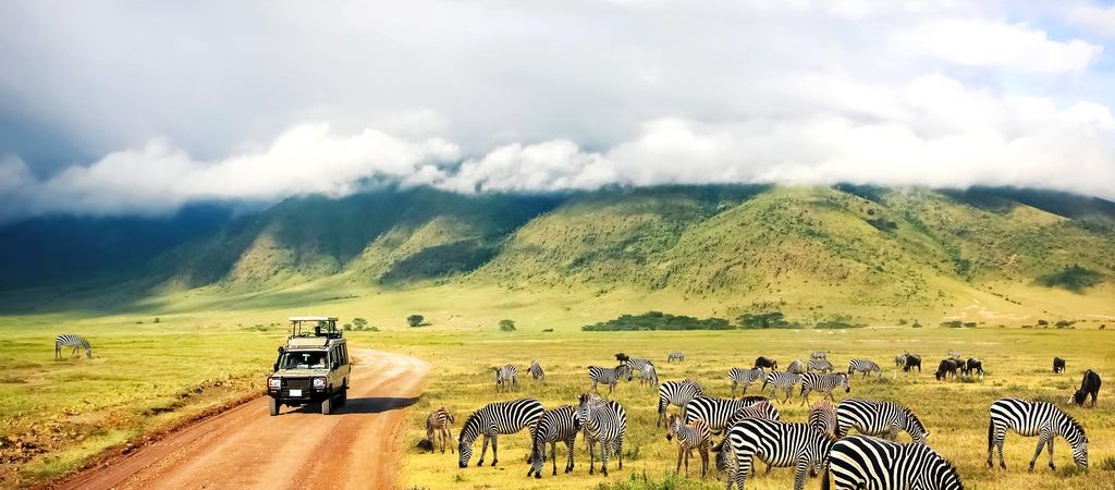 Tanzania Safari Park Rules and Regulations