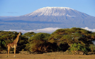 8 Days Kenya and Tanzania safari