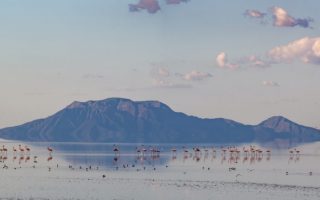 Activities around Lake Natron