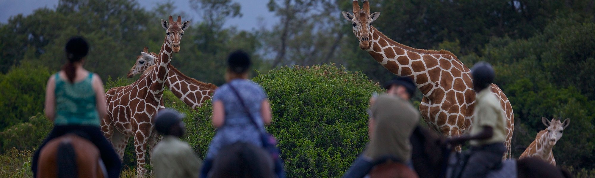 Aberdare National Park Activities