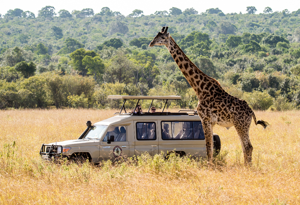 african guided tours