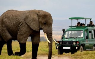 Akagera National Park