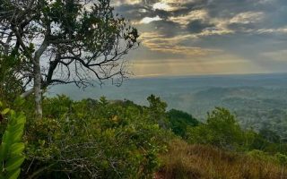 The climate and weather of Arabuko Sokoke National Park
