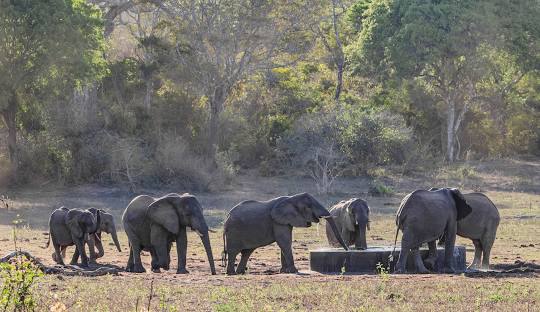 The climate and weather of Arabuko Sokoke National Park