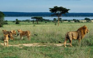 Bugungu Wildlife Reserve