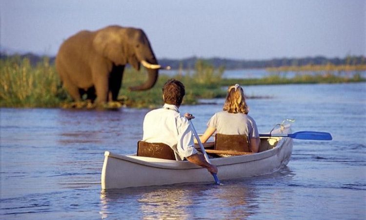 Ways of Doing Safaris in Tanzania 