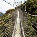 Canopy walk