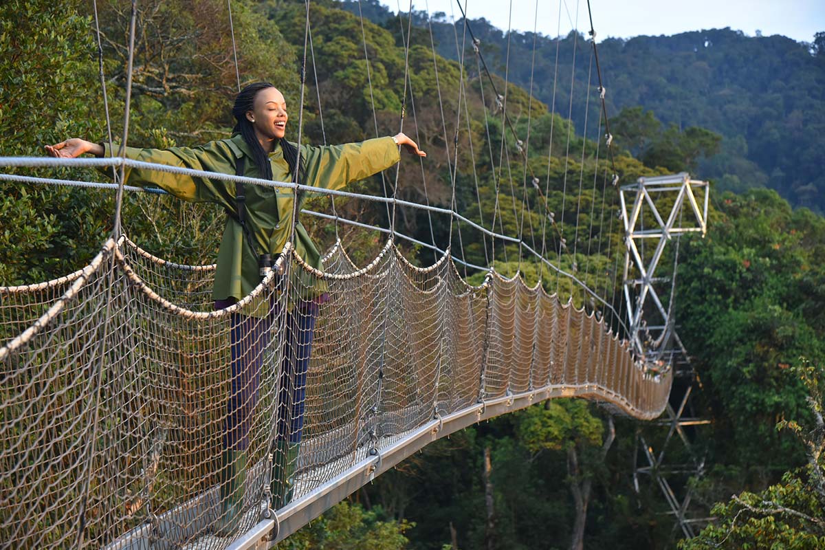 The Nyungwe Canopy Walk Experience