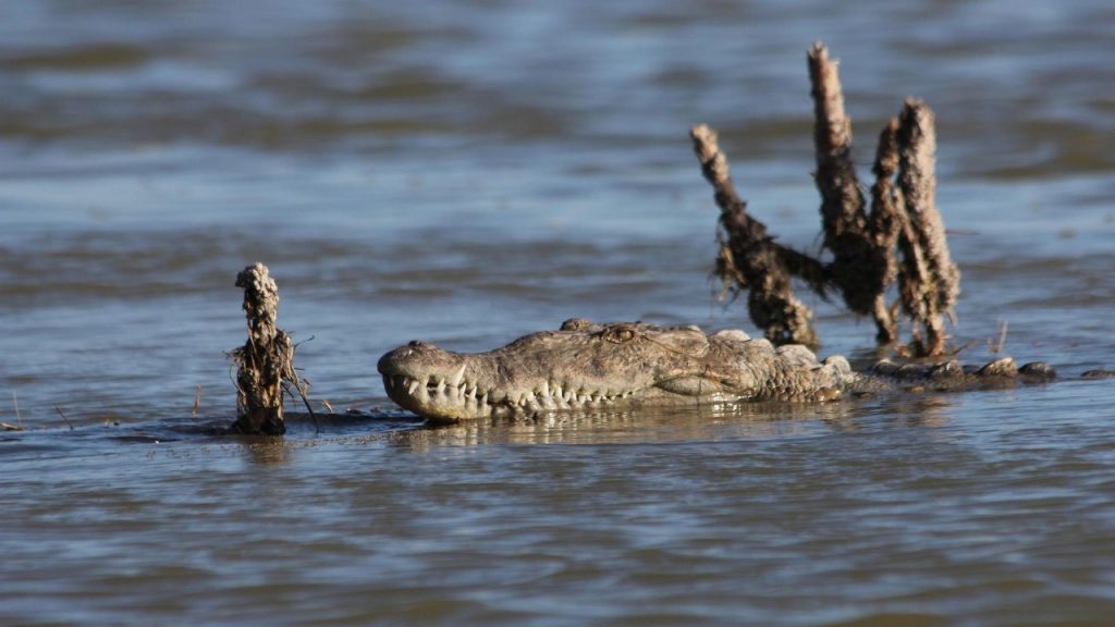 The Ideal Time to Visit Central Island National Park