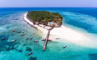 2022/2023 Top 5 Tanzania Safari Tours