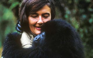 Dian Fossey