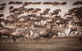 Discover Tanzania