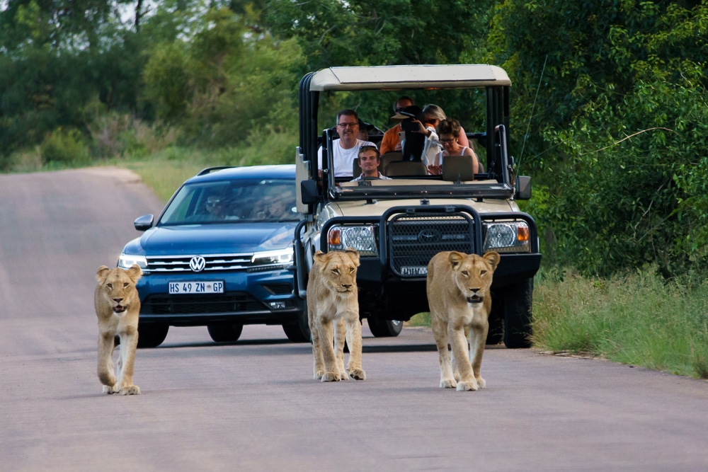 Where Is The Safest Place In Africa For Solo Female Travelers In 2024–2025?