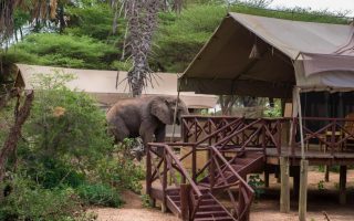 Best accommodation facilities at Samburu National Reserve
