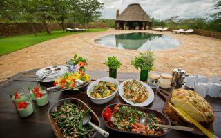 Food to taste during a Tanzania Safari