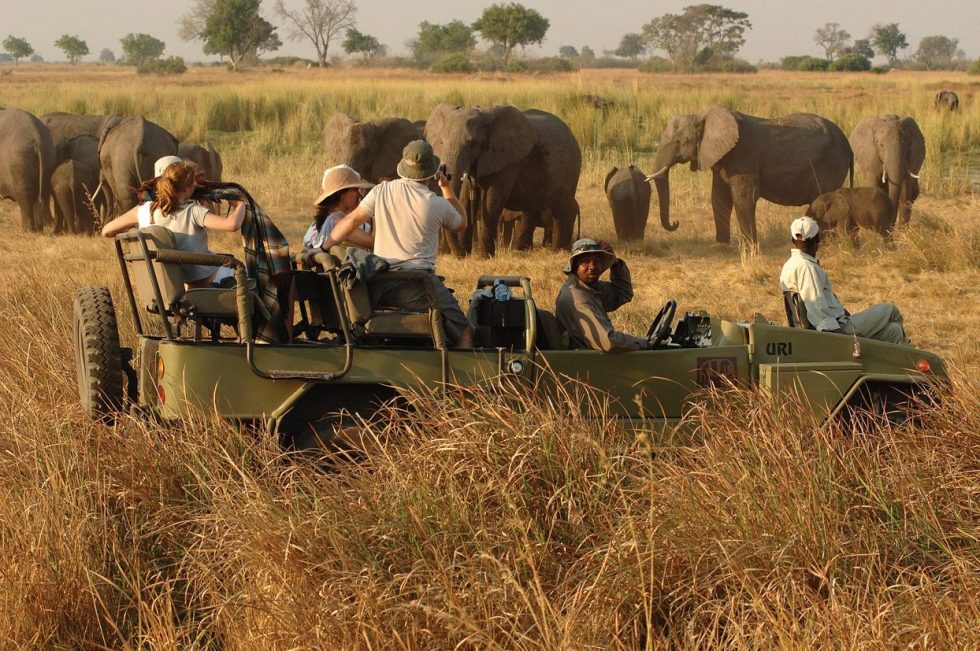 Wildlife safaris in Uganda