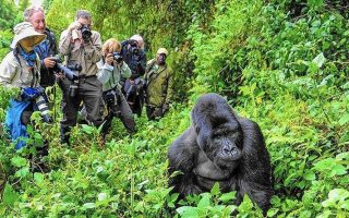 Why Should One Visit Uganda
