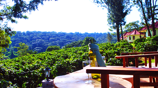 7 Days Masai Mara, Lake Victoria, Serengeti and Ngorongoro Crater Safari