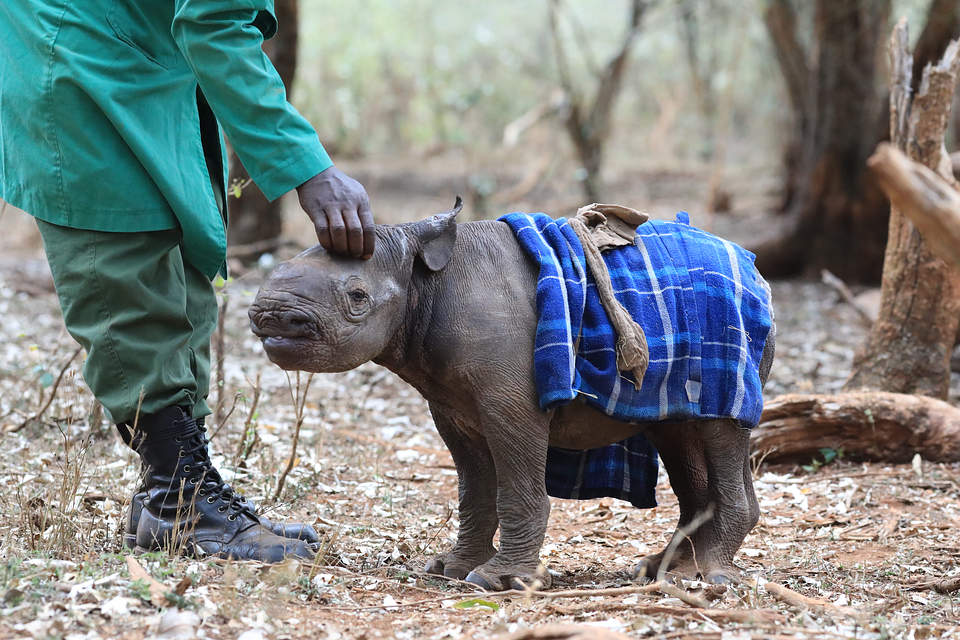 Things to do in Kenya other than Safari tours