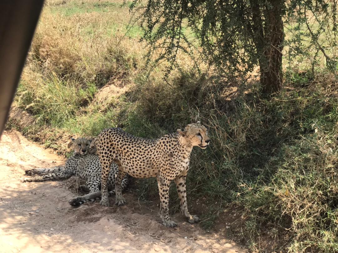 Get to explore kigosi national park