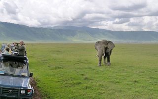 Guide to a Tanzania Safari in Ibanda-Kyerwa National Park