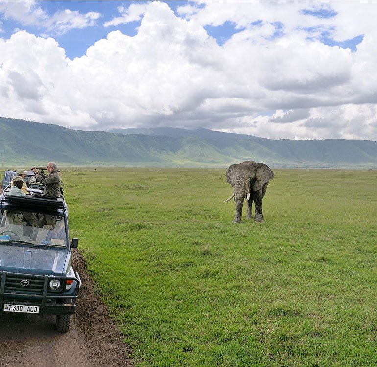 Guide to a Tanzania Safari in Ibanda-Kyerwa National Park