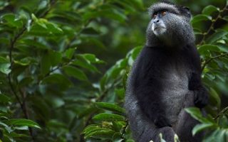 How to get to Kakamega Forest National Reserve