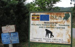 Kalinzu Forest Reserve