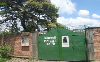 Karisoke Research Institute