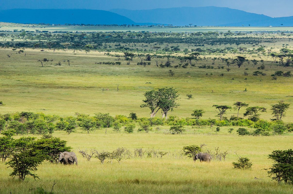 5 days Masai Mara and Bwindi safari