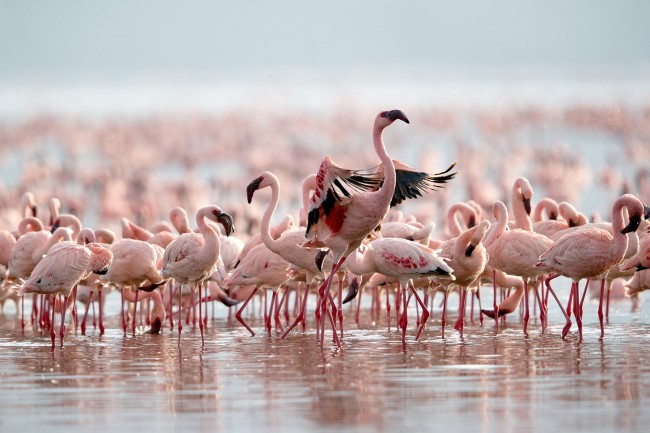 Tourist Activities at Lake Bogoria National Reserve