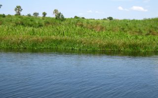 Lake Kyoga