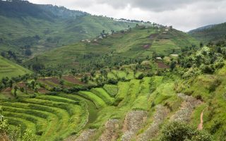 Low and High Seasons in Uganda